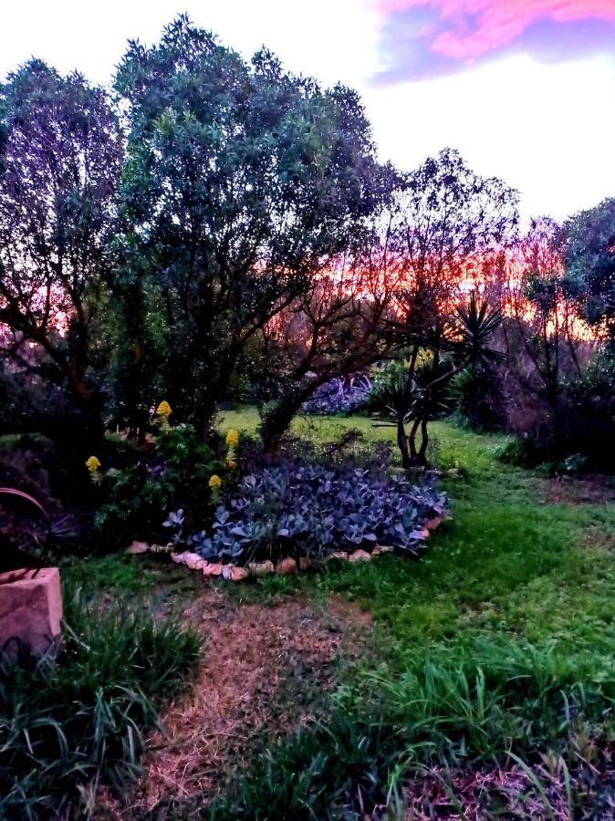 Arthouse Campos Mit Haus Galeria 110Qm Und Appartementhaus Mit Patio 30Qm Exterior foto